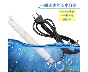 帶插頭線(xiàn)的T8防水燈管
